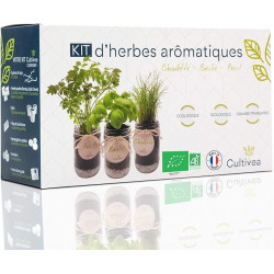 Kit démarrage basilic urbain