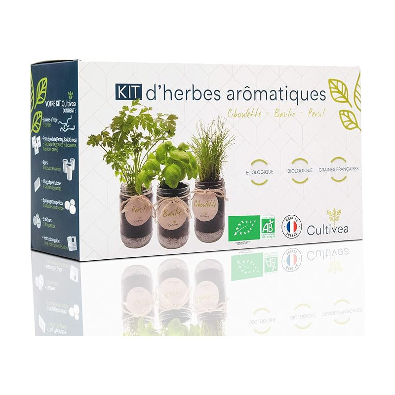 Kit démarrage basilic urbain