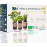 Kit démarrage basilic urbain