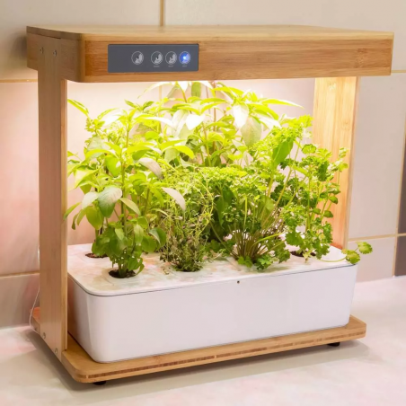 Potager hydroponique intérieur